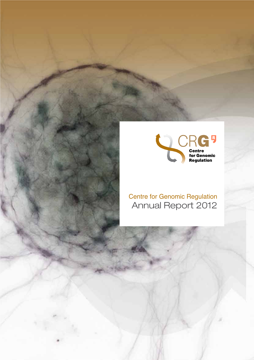 Download the Annual Report 2012