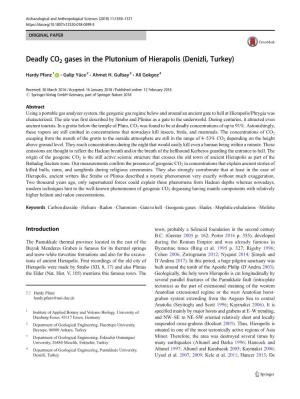 Deadly CO2 Gases in the Plutonium of Hierapolis (Denizli, Turkey)