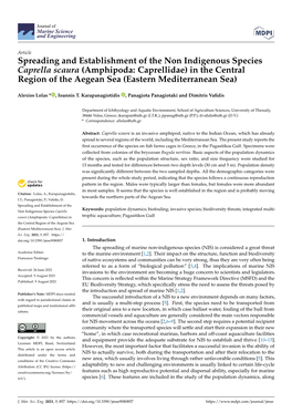 Spreading and Establishment of the Non Indigenous Species Caprella Scaura (Amphipoda: Caprellidae) in the Central Region of the Aegean Sea (Eastern Mediterranean Sea)