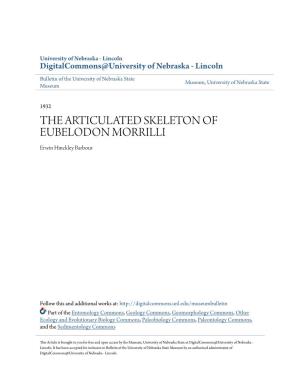 THE ARTICULATED SKELETON of EUBELODON MORRILLI Erwin Hinckley Barbour