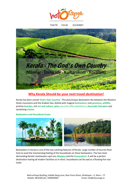 Kerala Should Be Your Next Travel Destination!