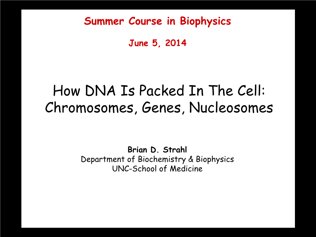 How DNA Is Packed in the Cell: Chromosomes, Genes, Nucleosomes