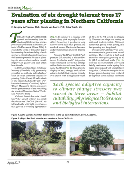 Evaluation of Six Drought Tolerant Trees 17 Years After Planting in Northern California E