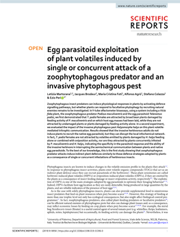 Egg Parasitoid Exploitation of Plant Volatiles Induced by Single Or
