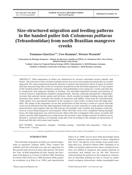 Size-Structured Migration and Feeding Patterns in the Banded Puffer Fish Colomesus Psittacus (Tetraodontidae) from North Brazilian Mangrove Creeks