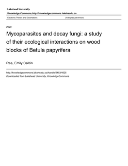 Mycoparasites and Decay Fungi: a Study of Their Ecological Interactions on Wood Blocks of Betula Papyrifera