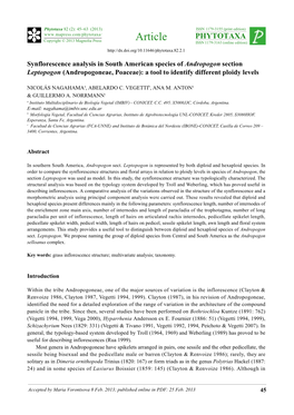 Synflorescence Analysis in South American Species of Andropogon Section Leptopogon (Andropogoneae, Poaceae): a Tool to Identify Different Ploidy Levels