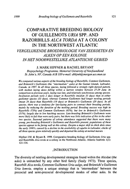 Comparative Breeding Biology of Guillemots Uria Spp. and Razorbills Alca Torda at a Colony in the Northwest Atlantic