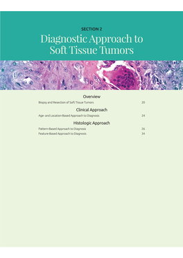 Diagnostic Approach to Soft Tissue Tumors