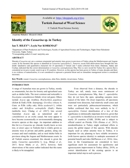 Identity of the Casuarina Sp. in Turkey Turkish Journal of Weed Science