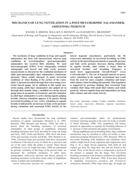 Lung Ventilation in Tiger Salamanders 1083 Adults (Brainerd and Monroy, 1998; Brainerd Et Al., 1993), 6Ð8 Cm Deep (Brainerd, 1998)
