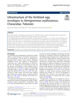 Ultrastructure of the Fertilized Egg Envelopes in Hemigrammus