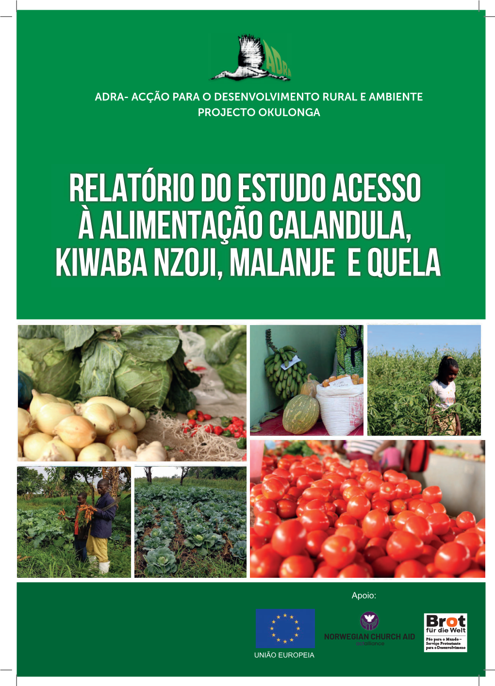 Relatório Do Estudo Acesso À Alimentação Calandula, Kiwaba Nzoji, Malanje E Quela