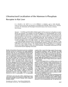 Ultrastructural Localization of the Mannose 6-Phosphate Receptor in Rat Liver