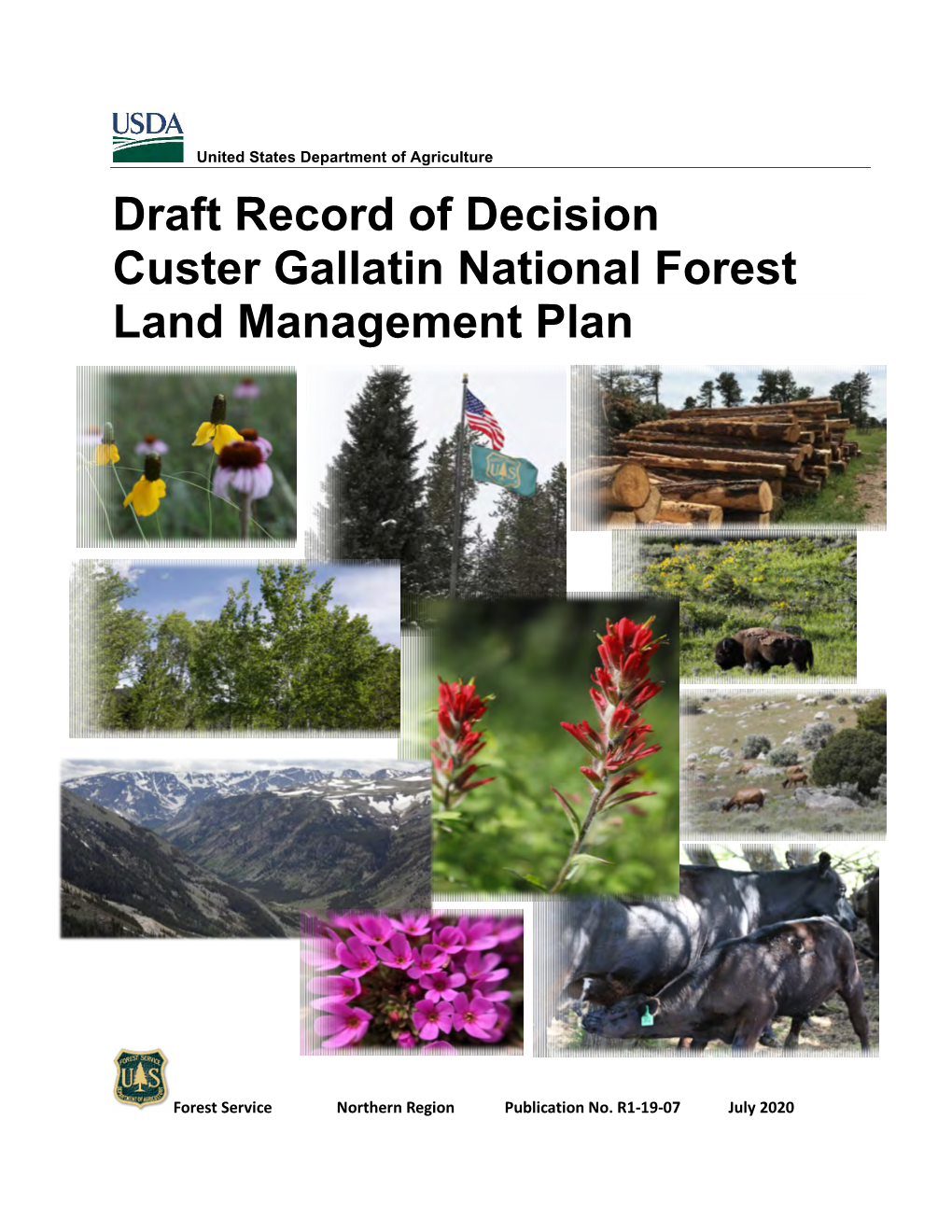 Draft Record of Decision for the Custer Gallatin National Forest Land