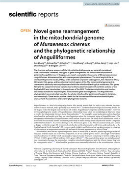 Novel Gene Rearrangement in the Mitochondrial Genome Of