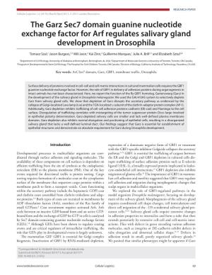 The Garz Sec7 Domain Guanine Nucleotide Exchange Factor for Arf Regulates Salivary Gland Development in Drosophila