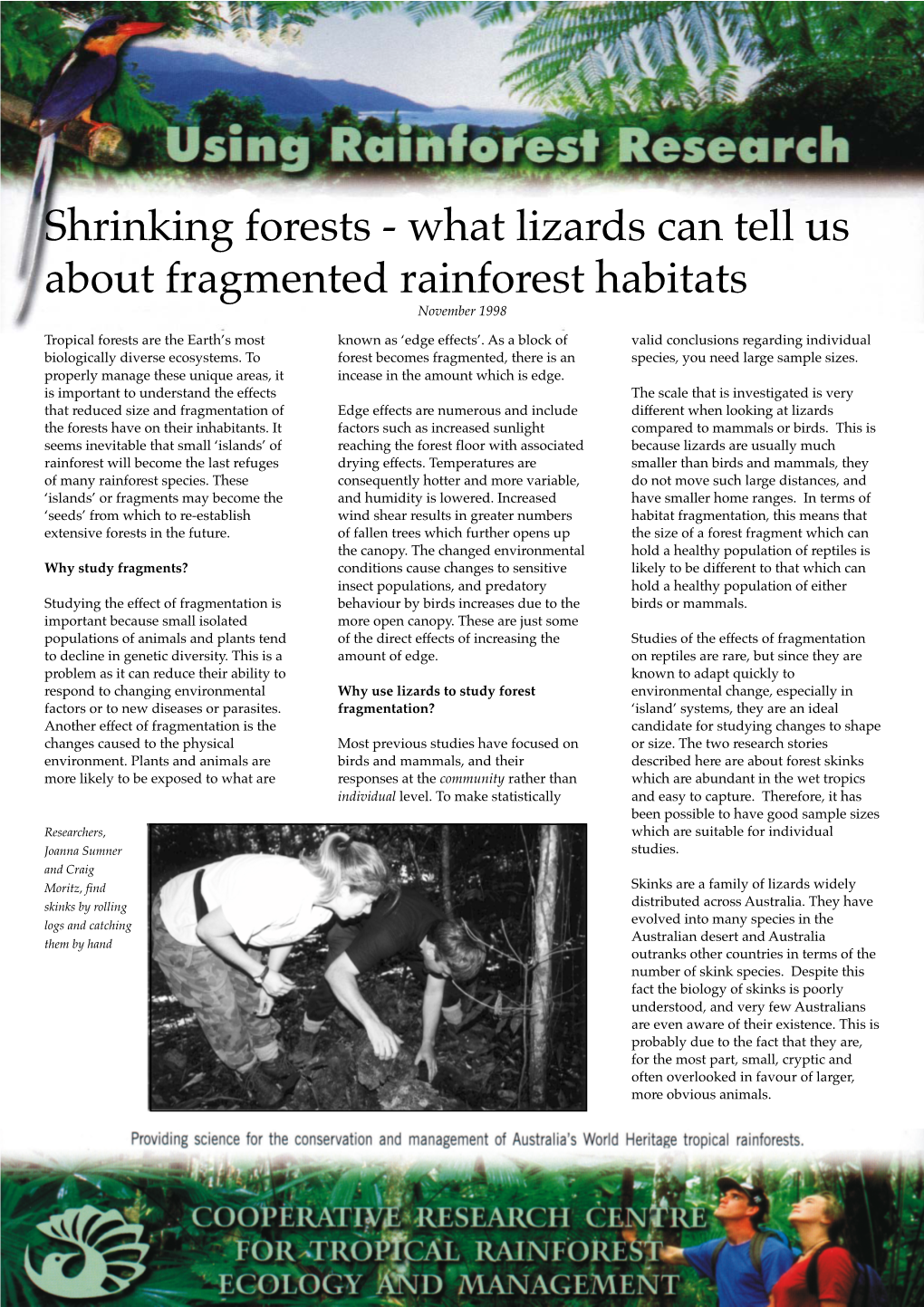Shrinking Forests - What Lizards Can Tell Us About Fragmented Rainforest Habitats November 1998