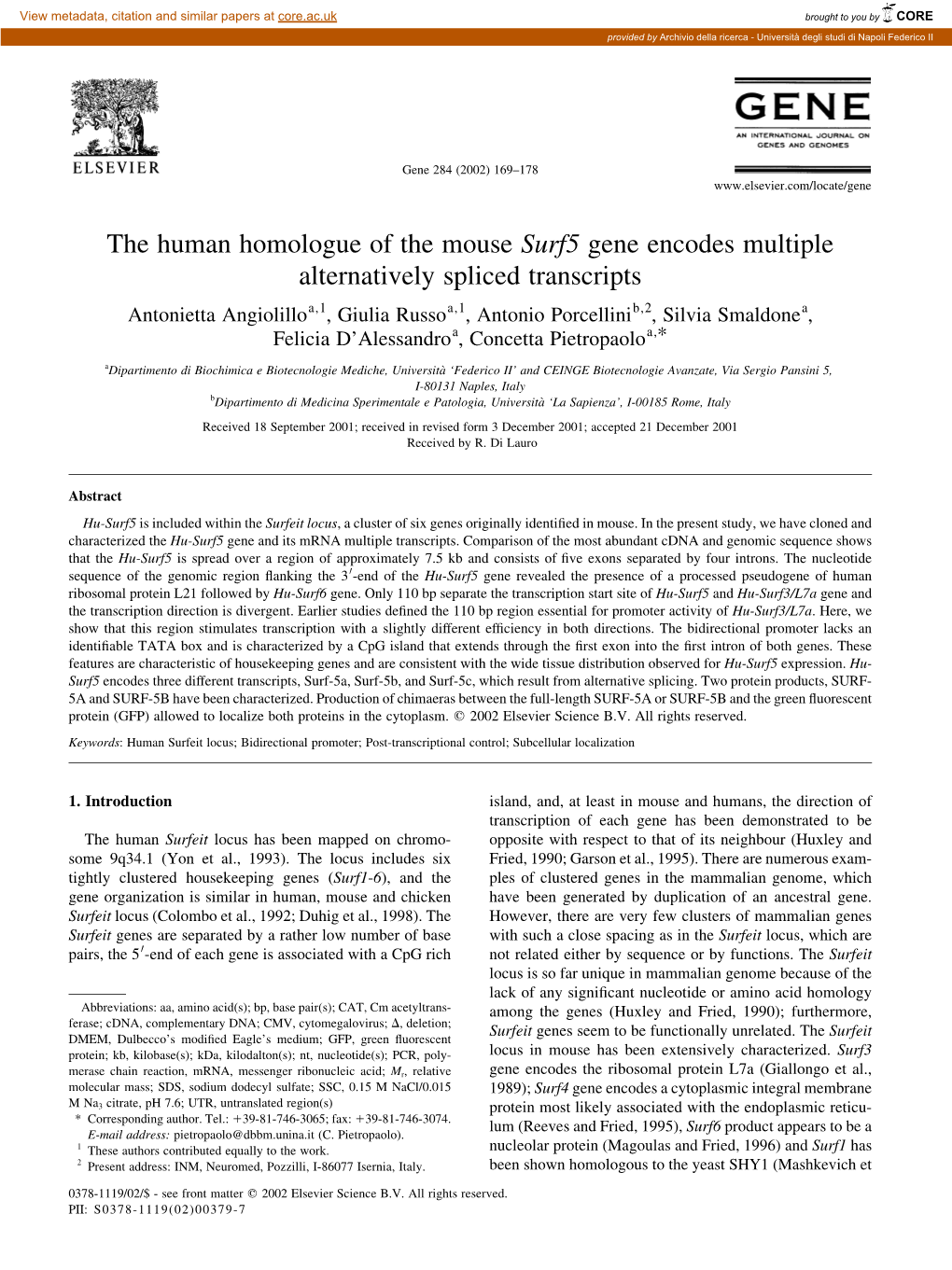 The Human Homologue of the Mouse Surf5 Gene Encodes Multiple