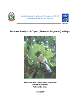 Resource Analysis of Chyuri (Aesandra Butyracea) in Nepal