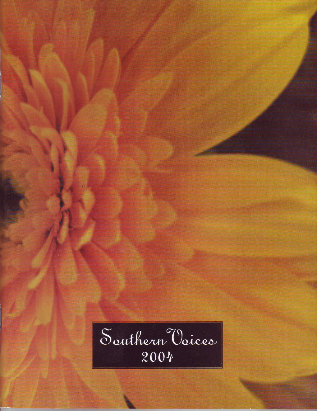 Southern Voices 2004 Cover 1