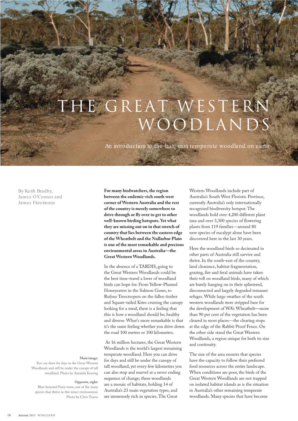The Great Western Woodlands