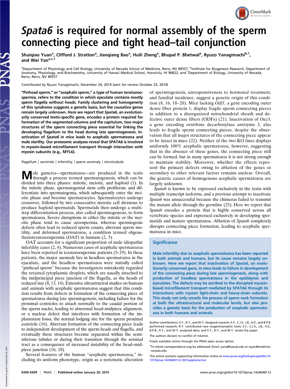 Spata6 Is Required for Normal Assembly of the Sperm Connecting Piece and Tight Head–Tail Conjunction