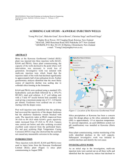 Acidising Case Study – Kawerau Injection Wells