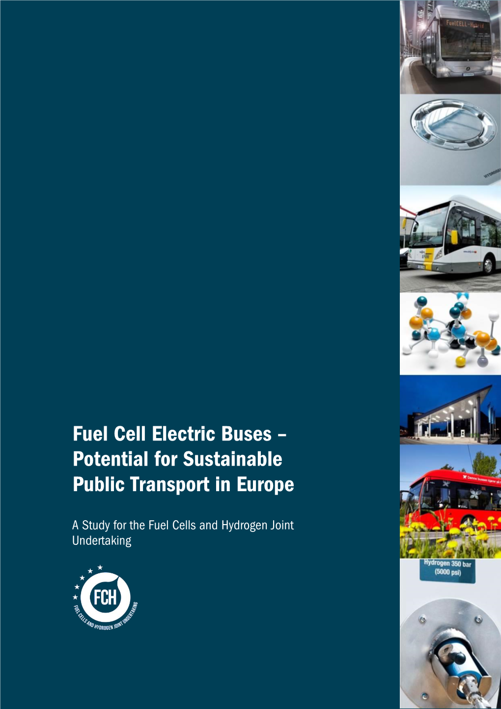 Fuel Cell Electric Buses – Potential for Sustainable Public Transport in Europe