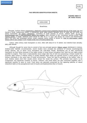 ALBU 1983 FAO SPECIES IDENTIFICATION SHEETS FISHING AREA 51 (W. Indian Ocean) ALBULIDAE Bonefishes Elongate, Fusiform Fishes