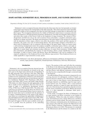 Shape Matters: Hofmeister's Rule, Primordium Shape, and Flower Orientation