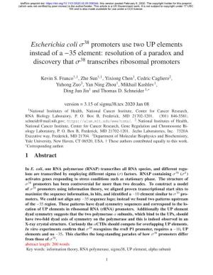 Escherichia Coli Σ38 Promoters Use Two up Elements Instead of a −35 Element: Resolution of a Paradox and Discovery That Σ38 Transcribes Ribosomal Promoters
