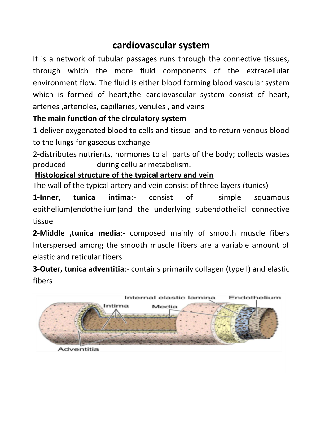 Cardiovascular System.Pdf