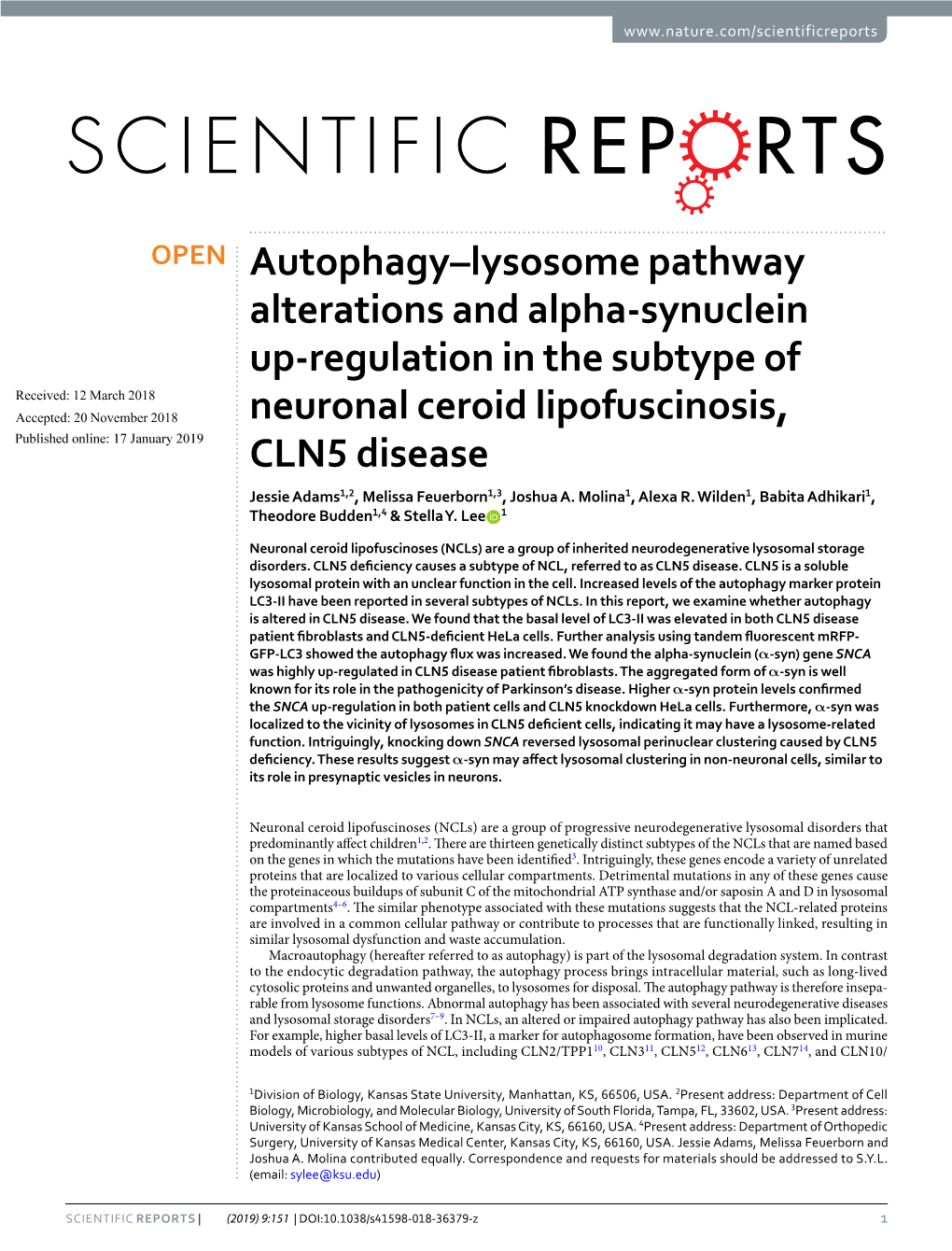 Autophagy–Lysosome Pathway Alterations and Alpha-Synuclein Up