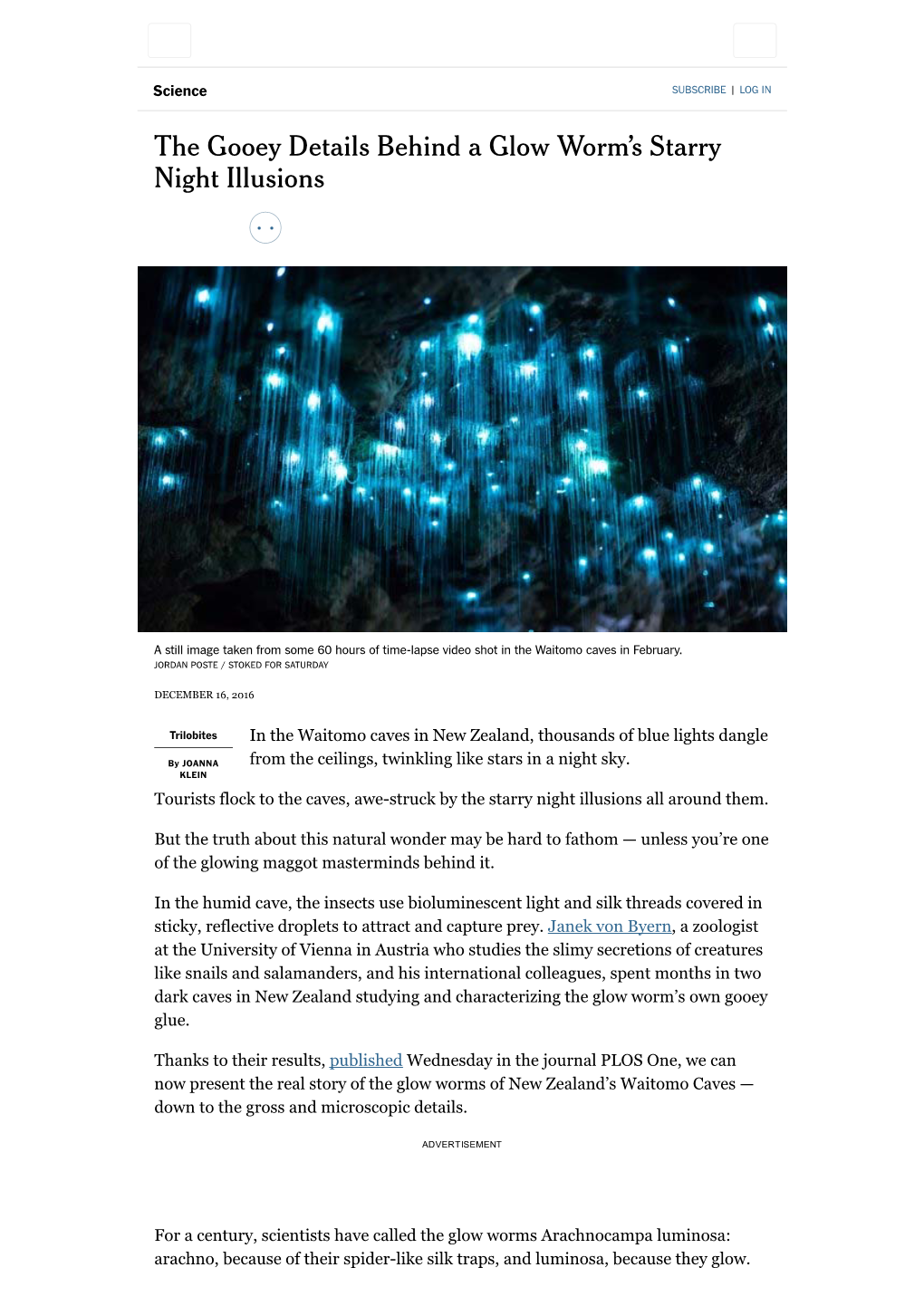 The Gooey Details Behind a Glow Worm's Starry Night Illusions