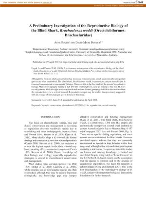 A Preliminary Investigation of the Reproductive Biology of the Blind Shark, Brachaelurus Waddi (Orectolobiformes: Brachaeluridae)