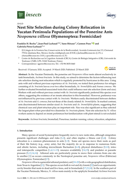 Nest Site Selection During Colony Relocation in Yucatan Peninsula Populations of the Ponerine Ants Neoponera Villosa (Hymenoptera: Formicidae)