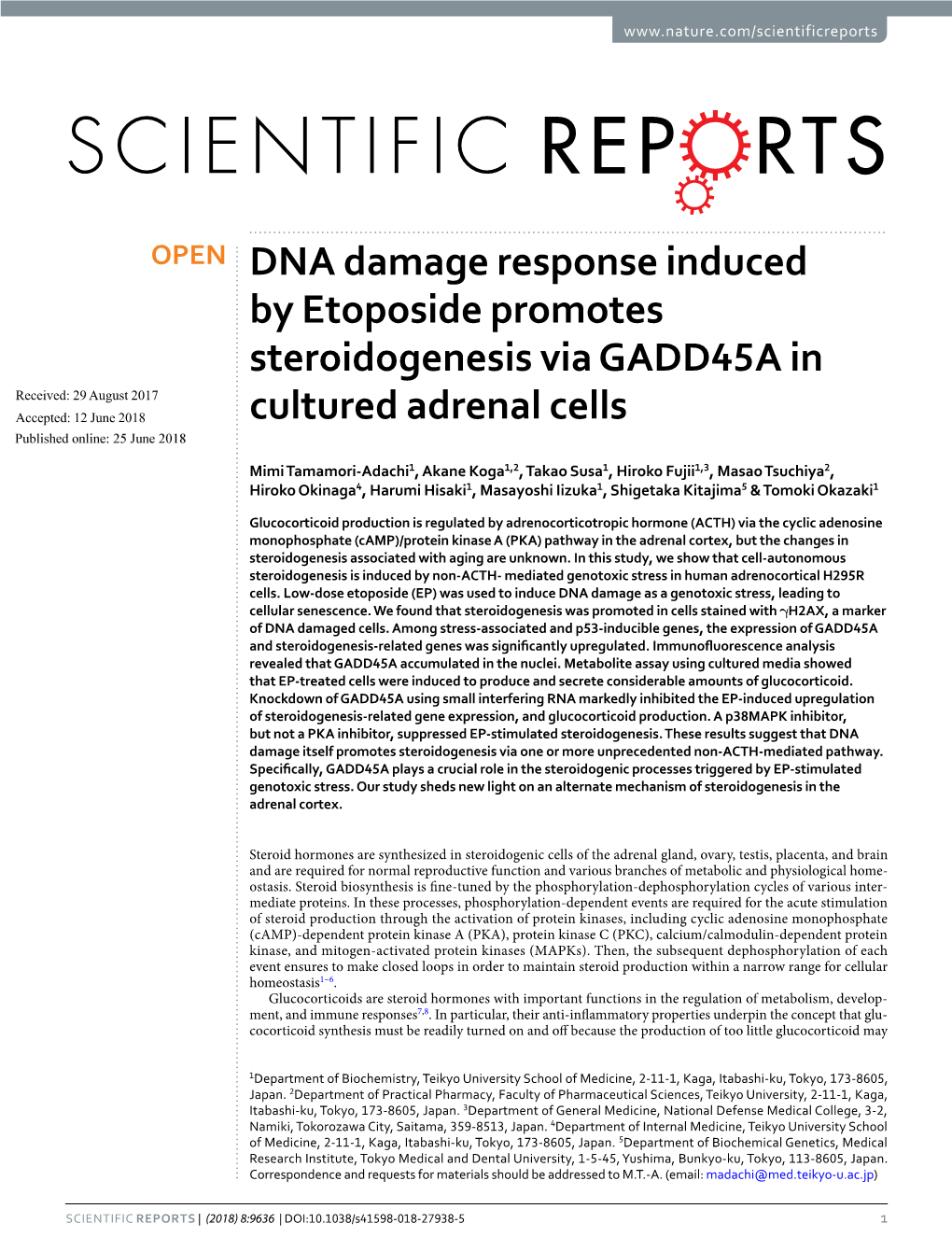 DNA Damage Response Induced by Etoposide Promotes Steroidogenesis Via GADD45A in Cultured Adrenal Cells