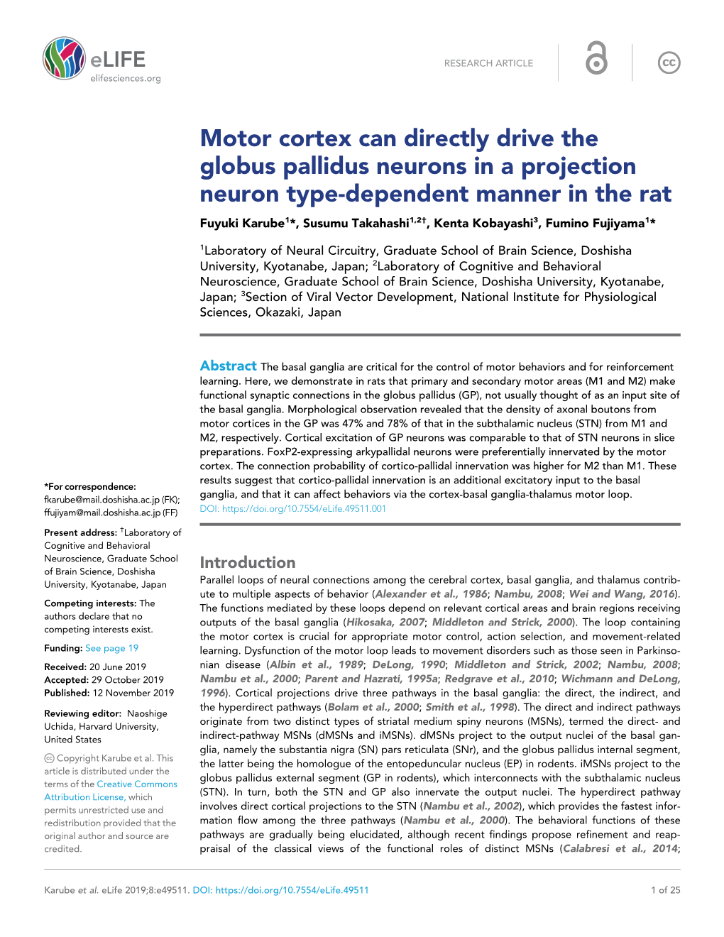 Motor Cortex Can Directly Drive the Globus Pallidus Neurons in A