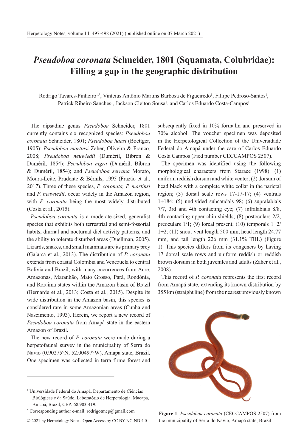 Pseudoboa Coronata Schneider, 1801 (Squamata, Colubridae): Filling a Gap in the Geographic Distribution