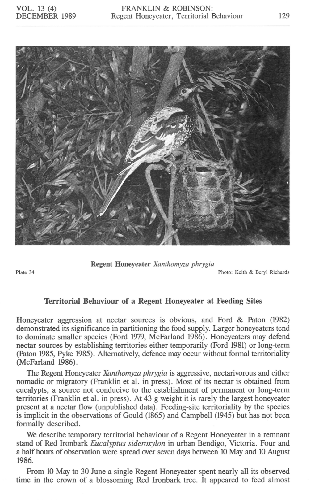 Territorial Behaviour of a Regent Honeyeater at Feeding Sites