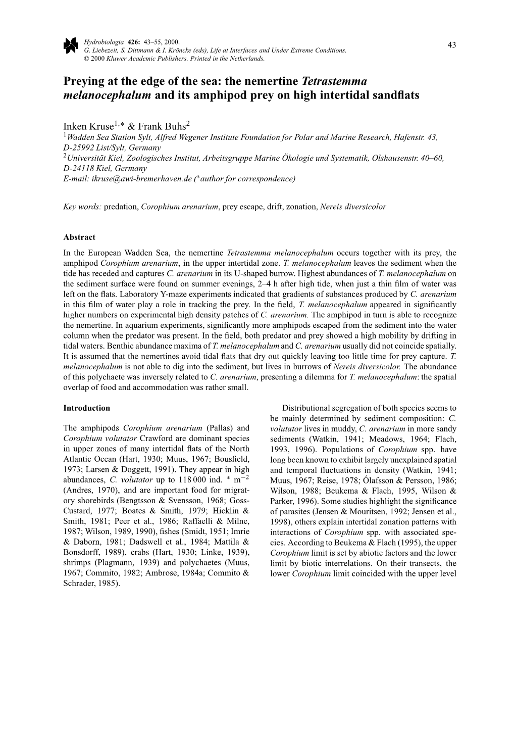 The Nemertine Tetrastemma Melanocephalum and Its Amphipod Prey on High Intertidal Sandﬂats