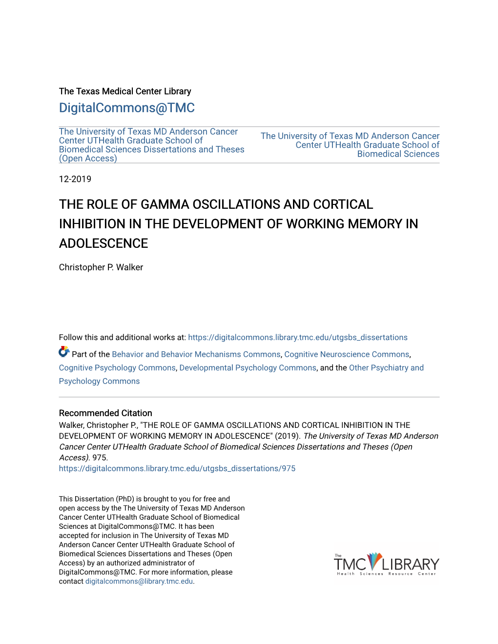 The Role of Gamma Oscillations and Cortical Inhibition in the Development of Working Memory in Adolescence