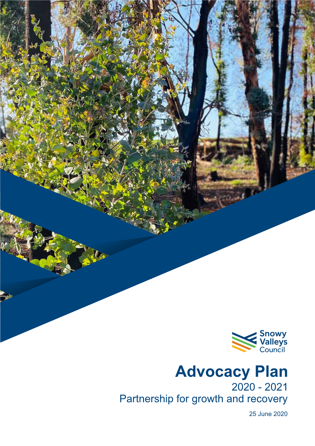 Advocacy Plan 2020 - 2021 Partnership for Growth and Recovery 25 June 2020 Contents