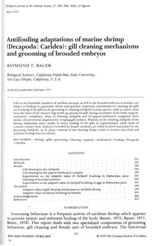 Antifouling Adaptations of Marine Shrimp (Decapoda: Caridea): Gill Cleaning Mechanisms and Grooming of Brooded Embryos