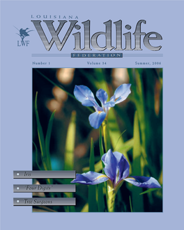 Article on Louisiana Irises