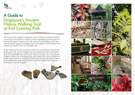 Singapore's Ancient History Walking Trail at Fort Canning Park