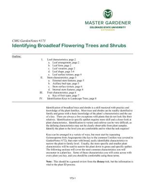 Identifying Broadleaf Flowering Trees and Shrubs
