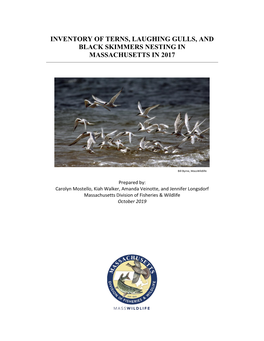 Inventory of Terns, Laughing Gulls, and Black Skimmers Nesting in Massachusetts in 2017