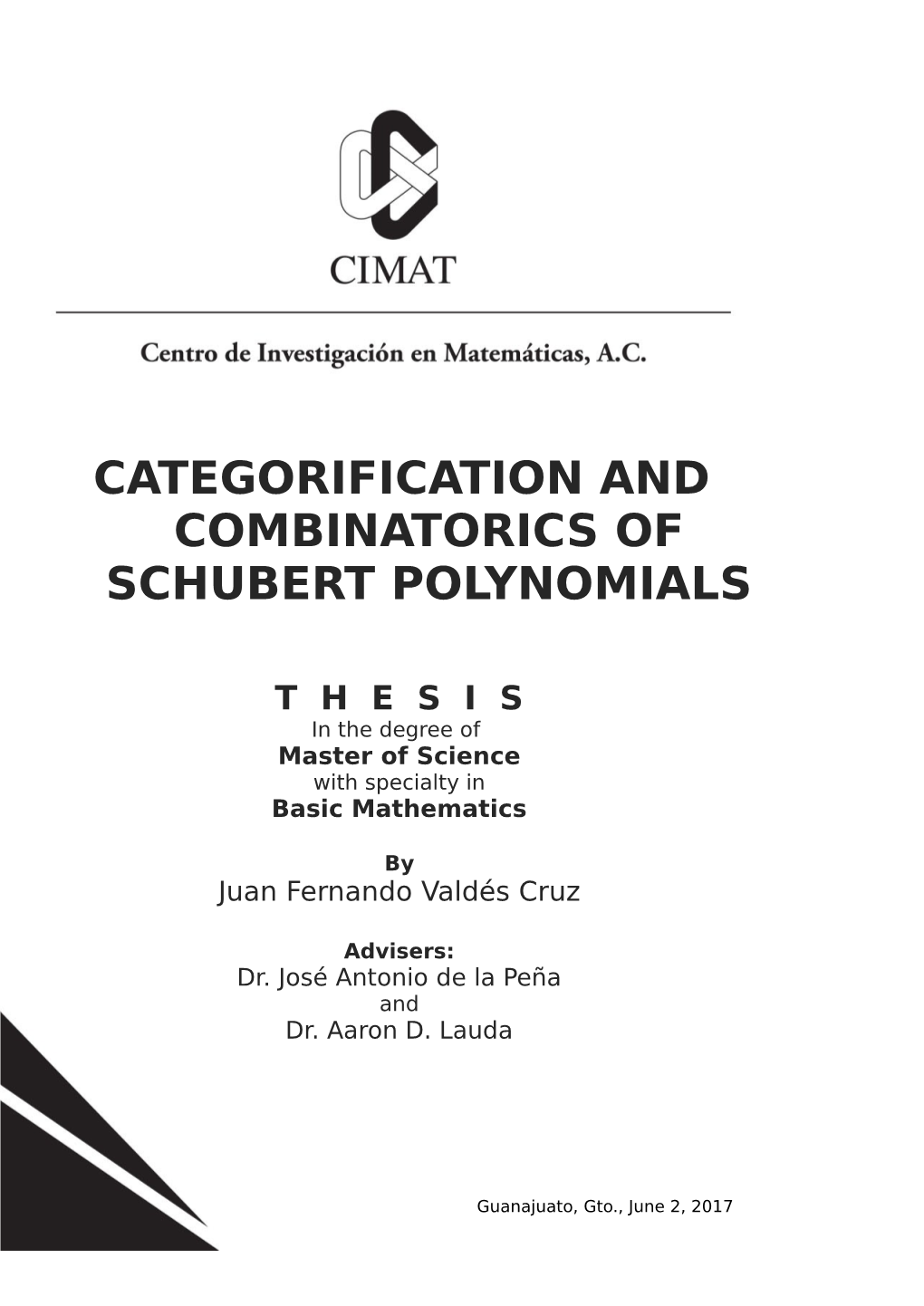Categorification and Combinatorics of Schubert Polynomials